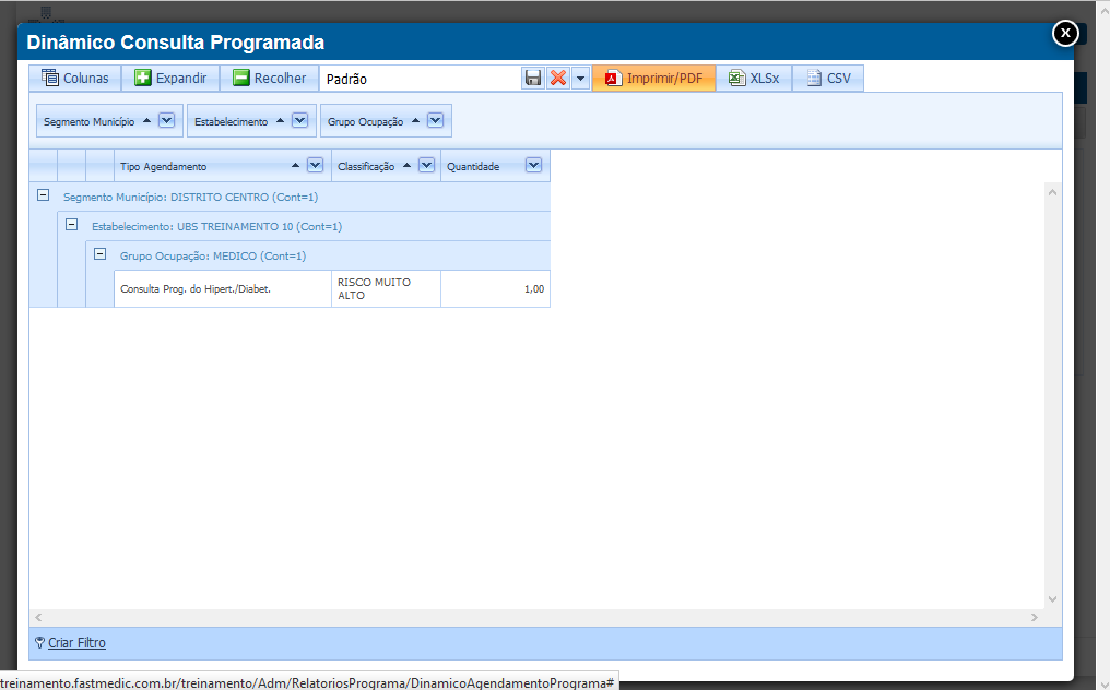 Imagem demonstrativa do Dinâmico Consulta Programada
